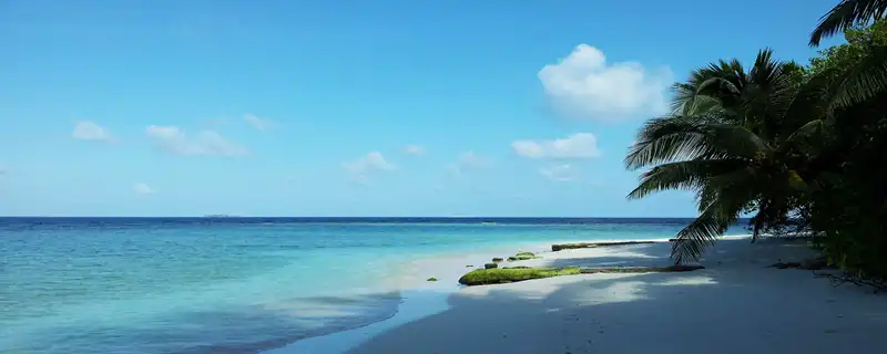 除夕出生的孩子屬什麼2023年 這天出生屬相為虎