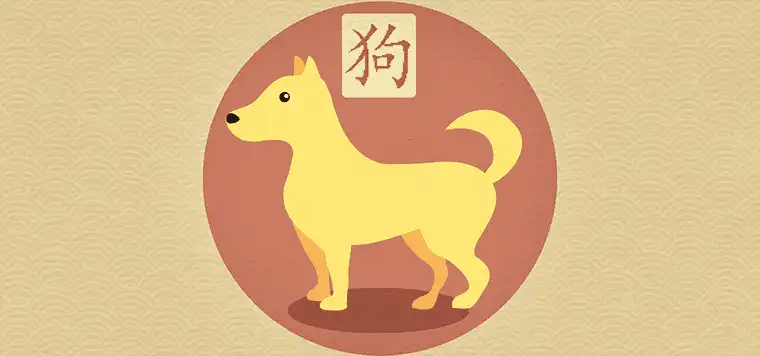 什麼樣的狗名能帶好運