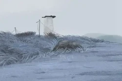 屬火的人適合做什麼行業 企業管理行業