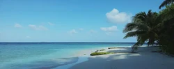 除夕出生的孩子屬什麼2023年 這天出生屬相為虎