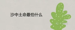 沙中土命最怕什麼 有哪些禁忌講究