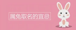 屬兔取名的宜忌