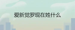 愛新覺羅現在姓什麼 滿漢改姓對照表