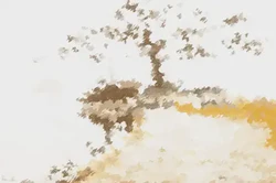 6種金命哪種金最好 釵釧金命在感情方面遇到挑戰