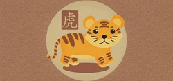 幾點出生的虎最凶猛最命苦