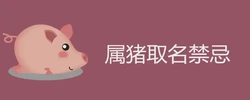 屬豬取名禁忌