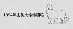 1994年山頭火命命硬嗎 一生命運好不好