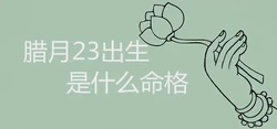 臘月23出生的人什麼命格