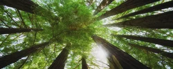 為什麼人怕正月生的說法 正月生的孩子沒福氣