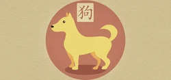 什麼樣的狗名能帶好運