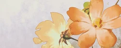 初七有什麼說法 嫁娶初七有什麼說法