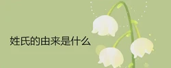 姓氏的由來是什麼