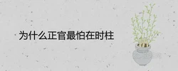 為什麼正官最怕在時柱 婚姻配偶不佳嗎