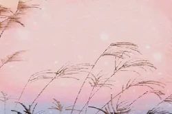 2024年龍年哪個月生寶寶好 十月份出生龍寶寶聰慧過人