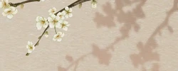 一生健康無災無難的八字 身體健康的八字