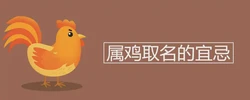 屬雞取名的宜忌