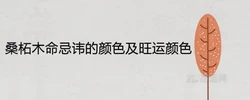 桑柘木命忌諱的顏色及旺運顏色