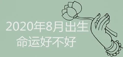 2020年8月出生的寶寶好不好 一生運勢詳解