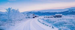辛卯日柱2023年癸卯年運勢 財富運勢極旺